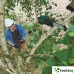 GARDEN BOSCH UNIVERSAL CHAIN POLE 18 - АКУМУЛАТОРЕН ВЕРИЖЕН ТРИОН ЗА ВИСОКИ КЛОНИ